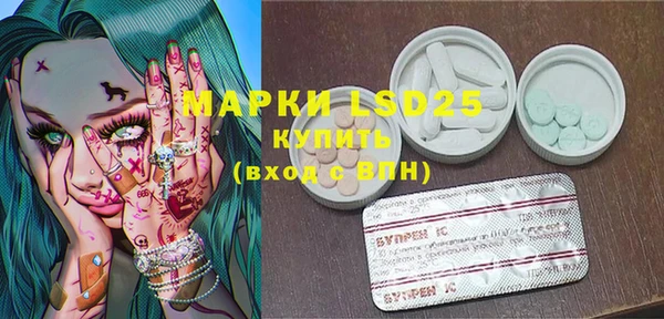 молекула духа Козельск