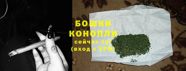 молекула духа Козельск