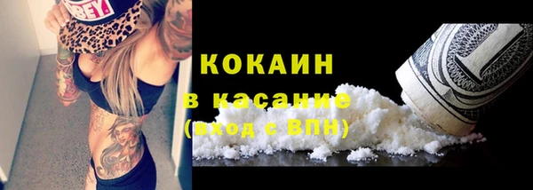 молекула духа Козельск