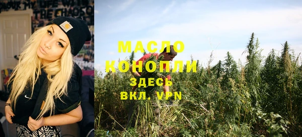 молекула духа Козельск