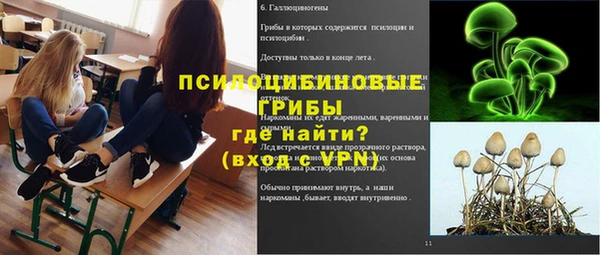 молекула духа Козельск