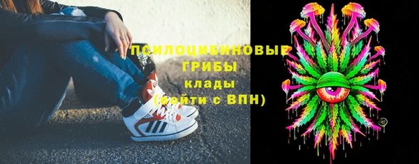 первитин Козловка