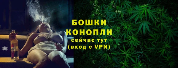 молекула духа Козельск