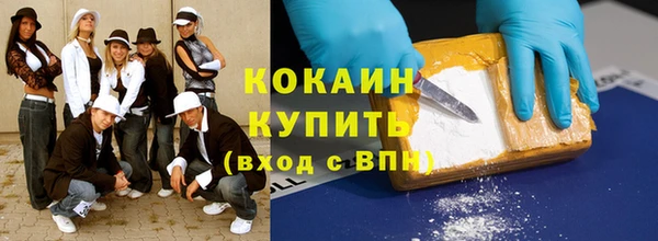 молекула духа Козельск